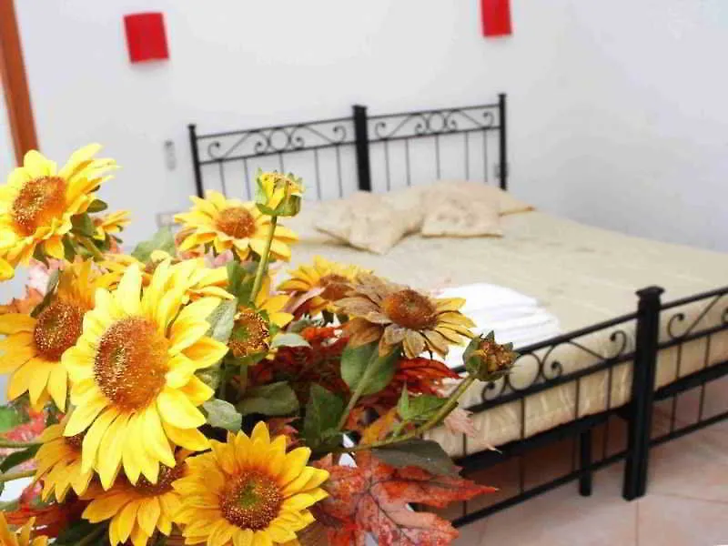 Dandi Domus Hotel Rome